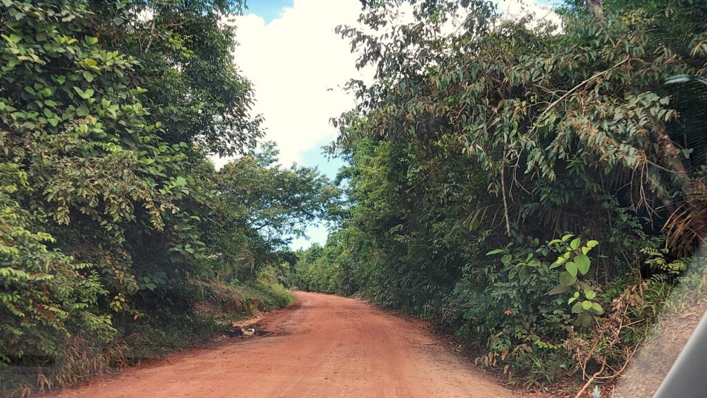 Dirt roades in the Amazon