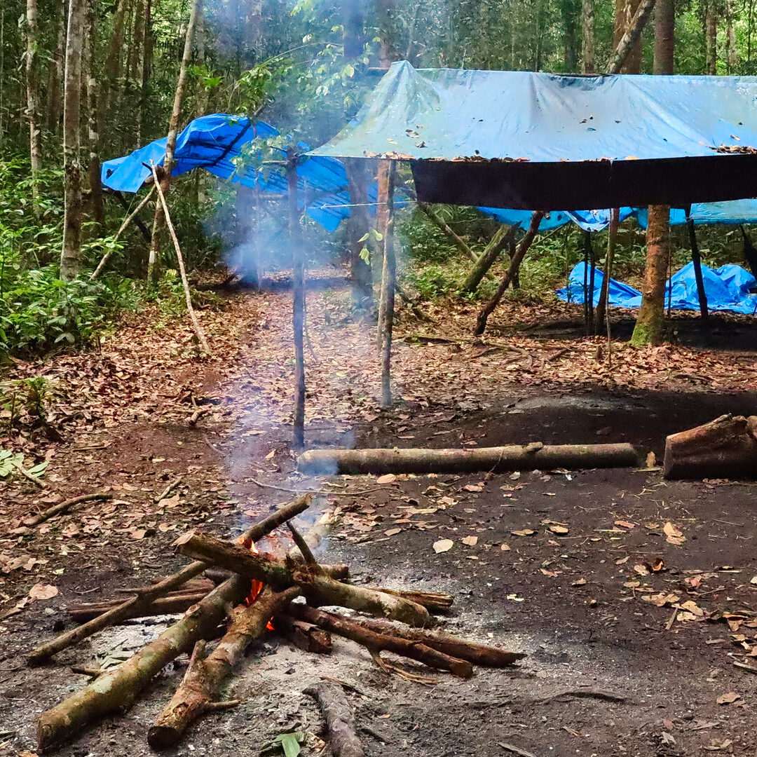 Amazon jungle tour camp