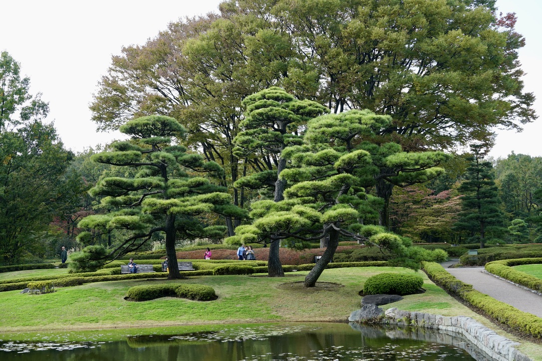 Japan: Practically the Perfect Destination