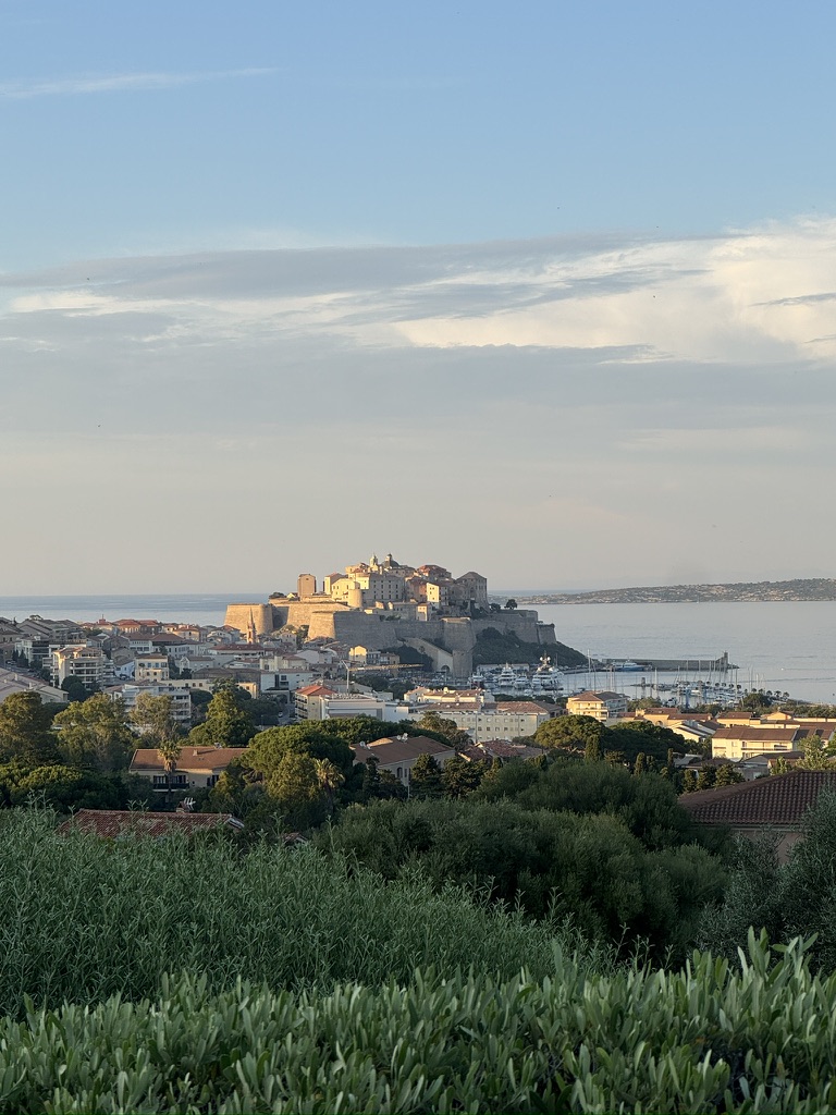 A scenic view of a coastal town with a fortress on a hill, surrounded by greenery and water under a cloudy sky.