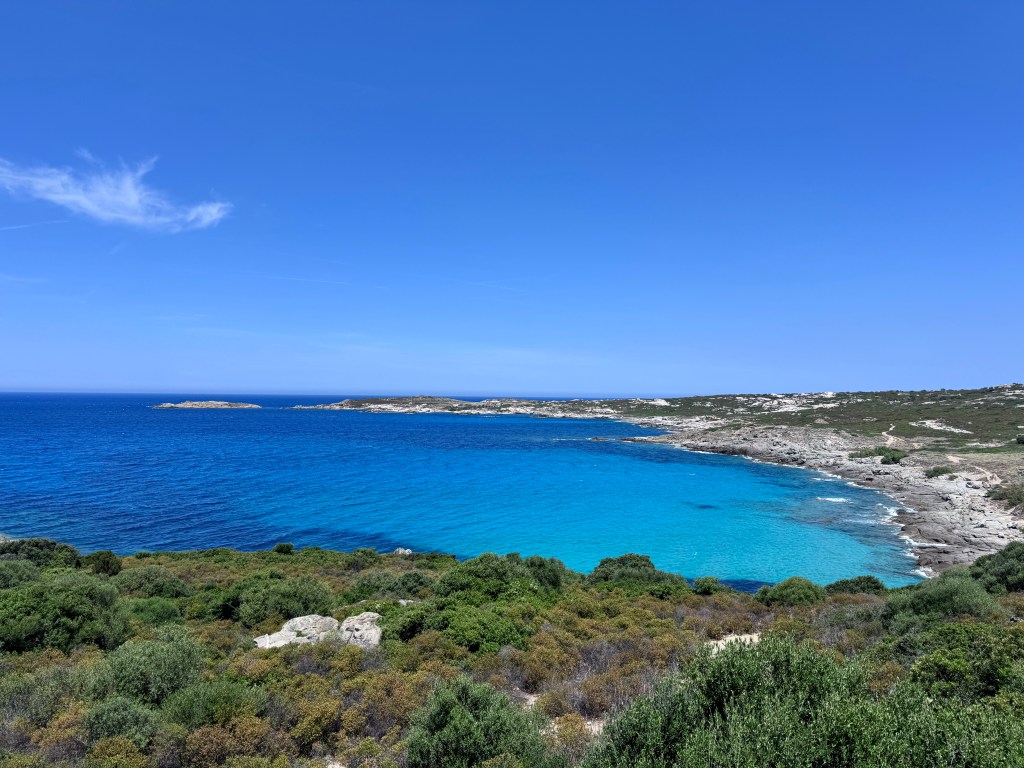 Panoramic view of a turquoise sea meeting a rocky coastline under a clear blue sky, with green shrubbery in the foreground.