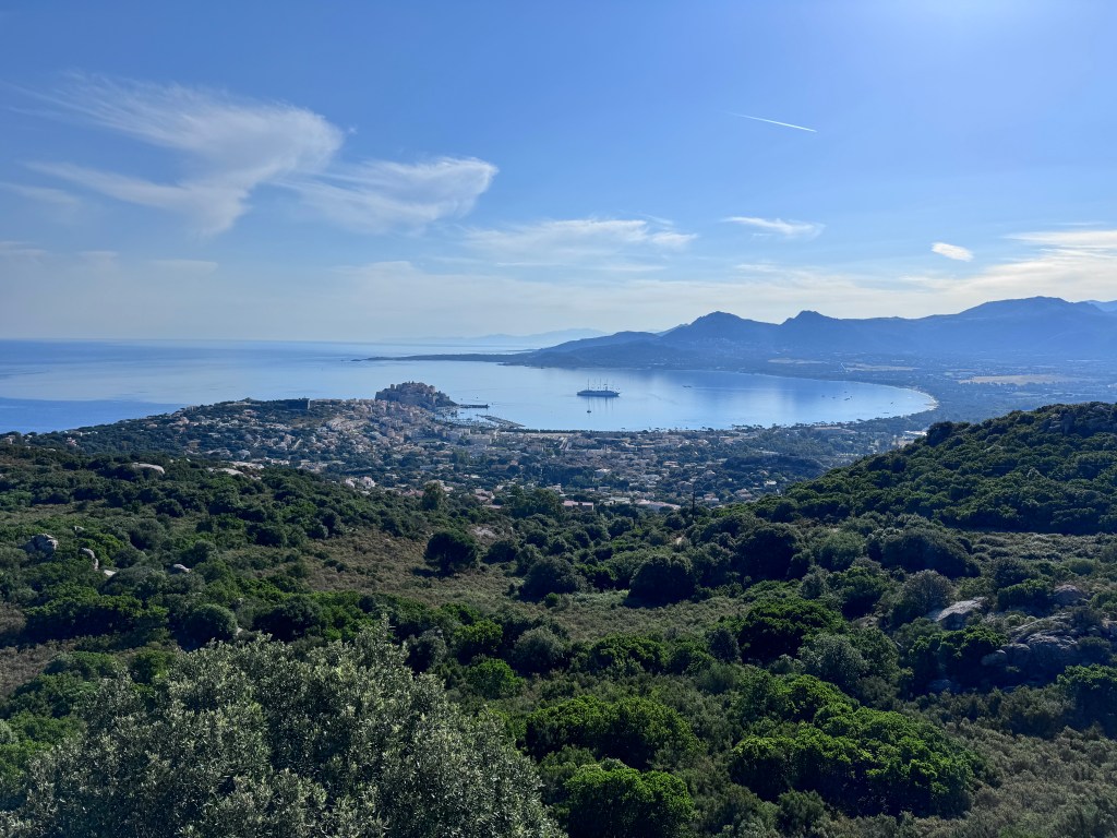 A panoramic view of a coastal town surrounded by lush greenery, with a calm sea and distant mountains under a clear blue sky.