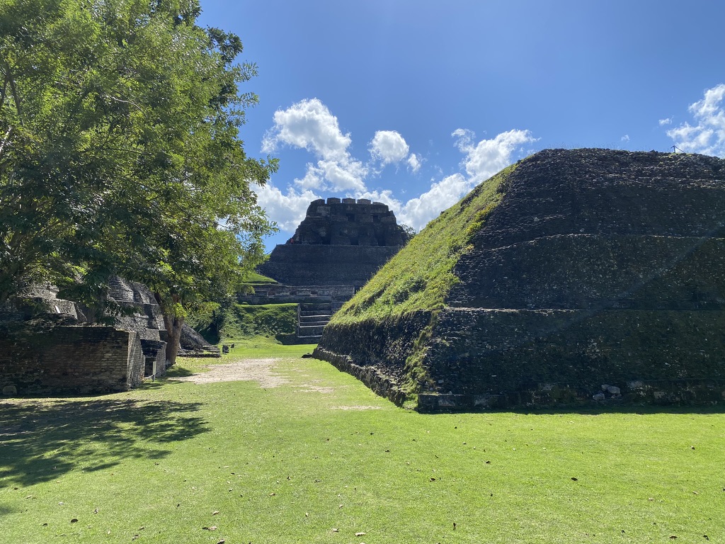 Ancient Mayan ruins with stone structures and grassy areas under a sunny blue sky.