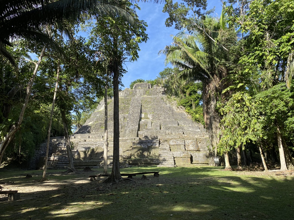 Ancient pyramid structure surrounded by lush greenery and tall trees in a sunny location.