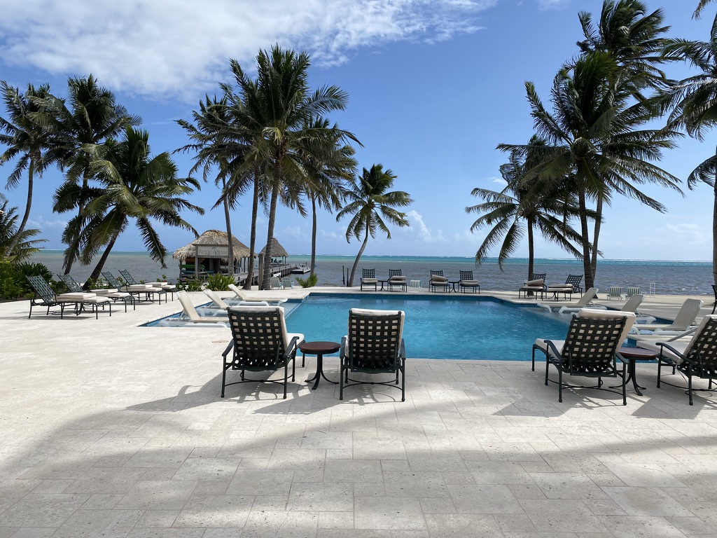 A picturesque pool area by the ocean, featuring palm trees, lounge chairs, and a clear blue sky.