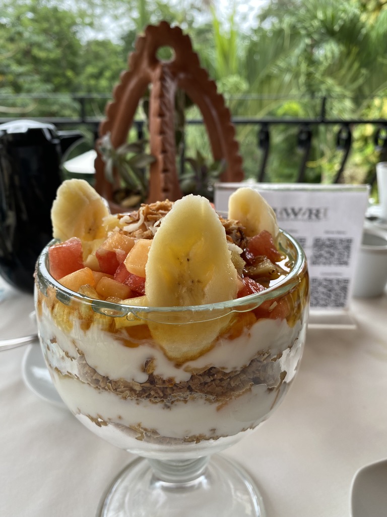 A layered dessert in a clear glass bowl featuring yogurt, granola, and mixed fruits, including banana slices, with greenery in the background.