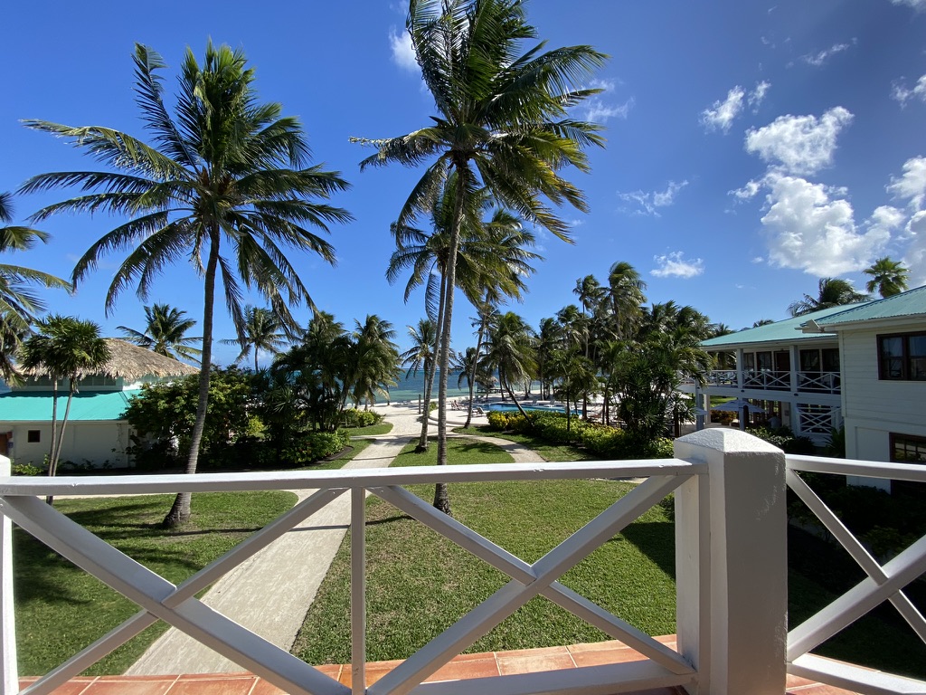 View from a balcony overlooking palm trees, a pathway, and a beach with clear blue water under a sunny sky.