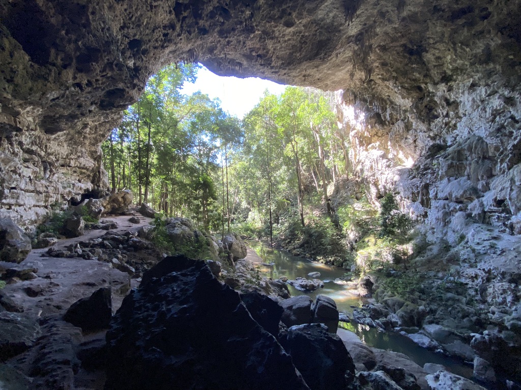 View of a serene cave opening with lush greenery and a stream flowing through the rocky landscape.