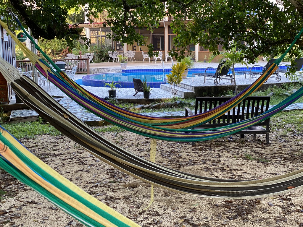 Colorful hammocks are strung between trees in a garden area, overlooking a swimming pool with lounge chairs nearby.