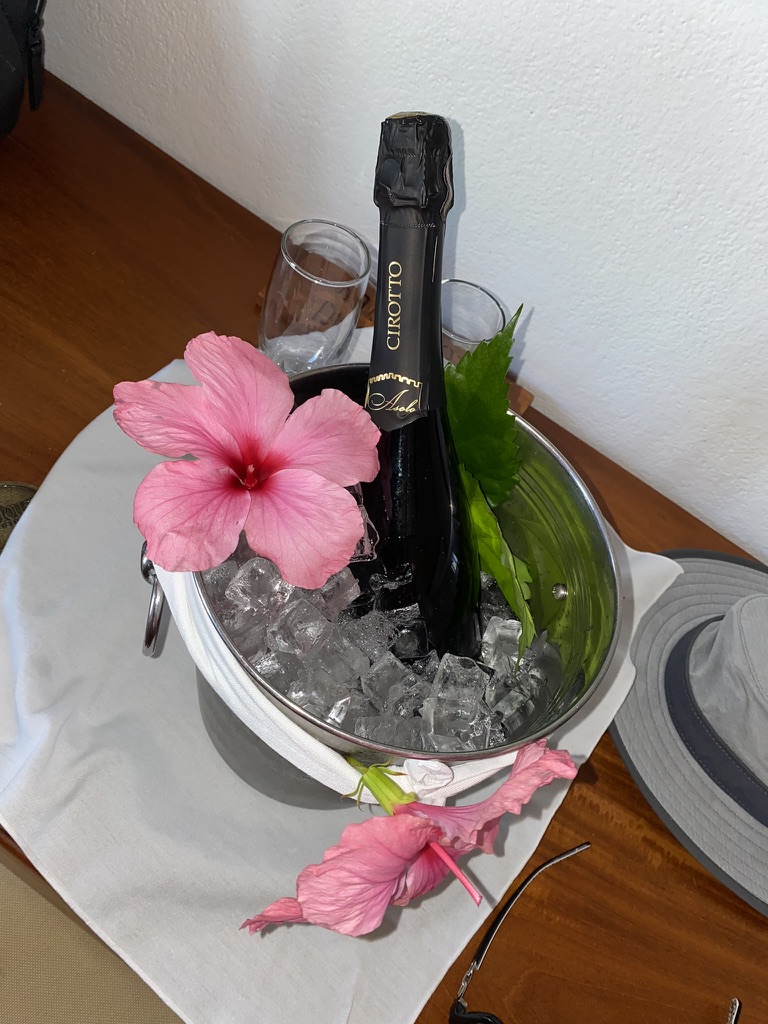 A bottle of Cirotto sparkling wine in a bucket filled with ice, surrounded by pink hibiscus flowers and green leaves, with two glasses nearby.