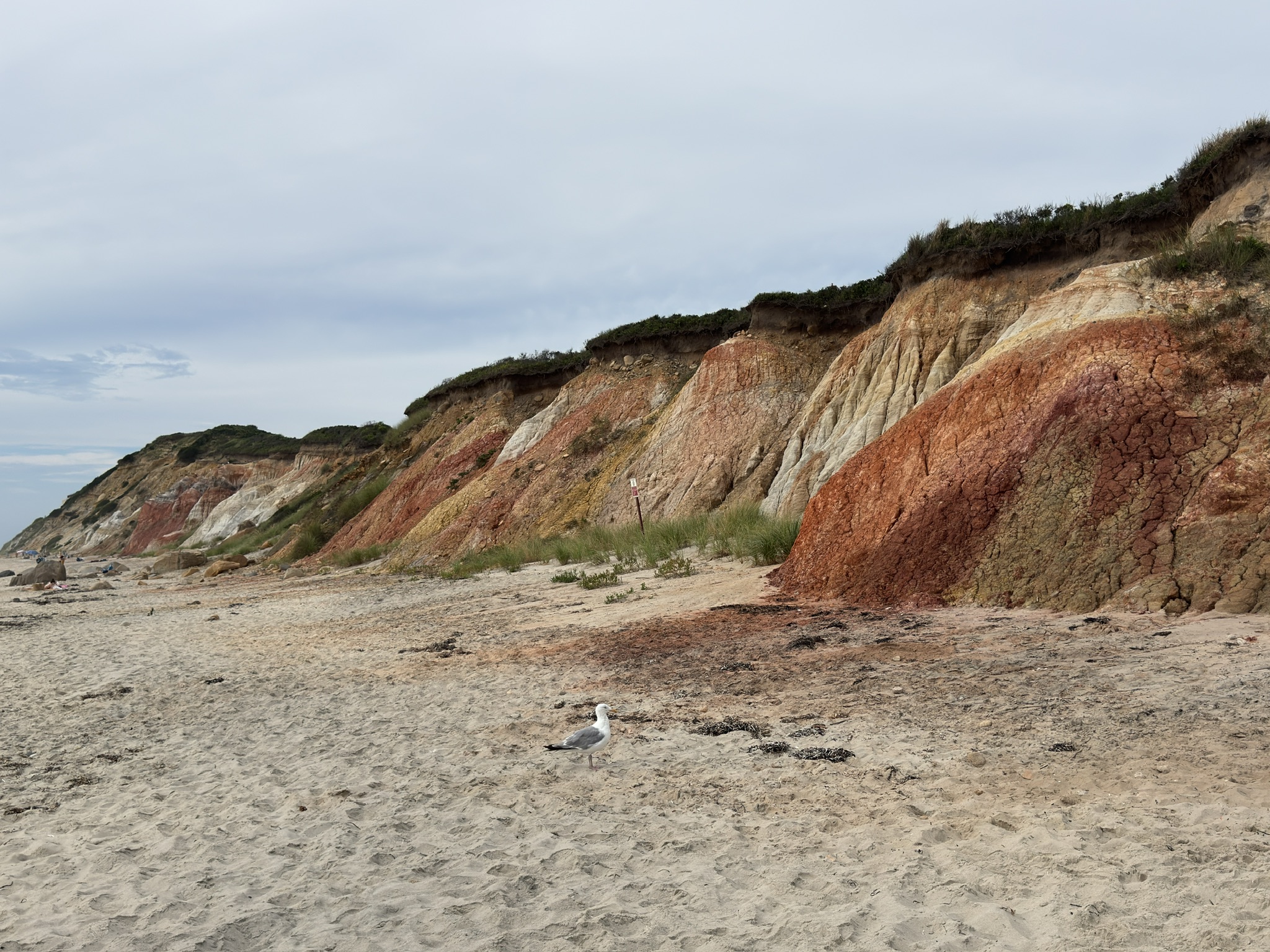 The Laid-Back Charm and Hidden Gems on Martha’s Vineyard